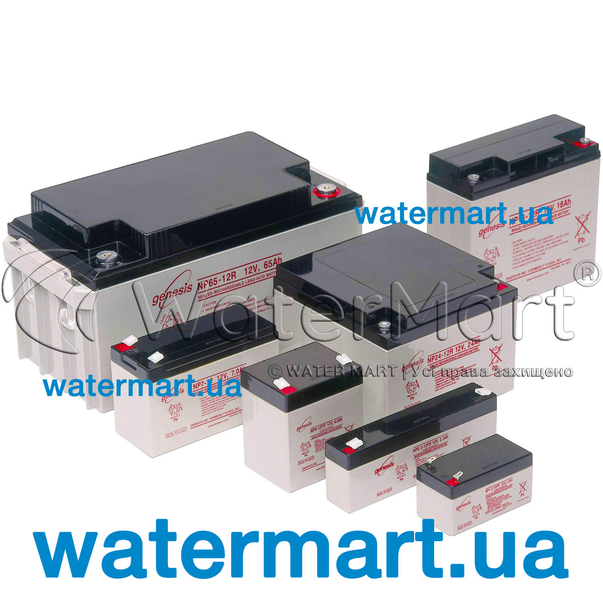 Аккумулятор AGM DataSafe NPX80-12-NPX-80R. Купить, Киев
