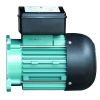 Двигатель насоса Emaux SS033 (89022110)