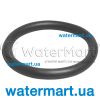 Уплотнительное кольцо муфты фильтра Pentair Triton TR (R154492)