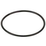 Уплотнительное кольцо диффузора Emaux SS (02011004)