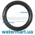 Уплотнительное кольцо 6 x 2 mm Viton насоса Badu Magic 292.0141.261