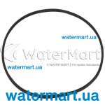 ​Уплотнительное кольцо 6-ходового клапана 2" Pentair Triton/Tagelus RGC20E07