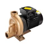 Насос для бассейна Pahlen P01FLO (11418)