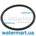 Уплотнительное кольцо клапана Pentair Azur RE272026ND R281018 PG281009