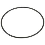 Уплотнительное кольцо Emaux SC (02021088/02011077)