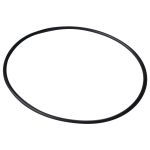 Уплотнительное кольцо диффузора Emaux AFS (02010251)