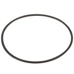 Уплотнитель крышки префильтра PSH Mini Delfino