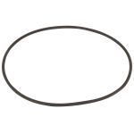 Уплотнительное кольцо диффузора Emaux SC (02011105)