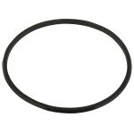 ​Уплотнительное кольцо Emaux 02011134