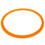 ​Уплотнительное кольцо прожектора Emaux 02021004