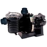 Насос для бассейна Pentair 5P6R SEAW/SW5P6RF-3