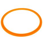 ​Уплотнительное кольцо прожектора Emaux 02021004
