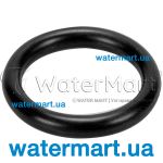 Уплотнительное кольцо втулки вала насоса Pentair Swimmey / Pantera (R111P0960)