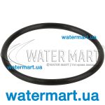 ​Уплотнительное кольцо Emaux MPV (02020013)