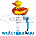 Термометр для бассейна Kokido TM08CB/18 caveman