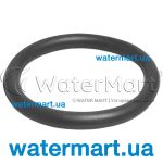 Уплотнительное кольцо муфты фильтра Pentair Triton TR (R154492)
