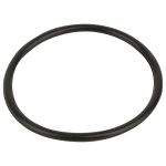 ​Уплотнительное кольцо Emaux FSU 02010045