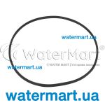 Ущільнювальне кільце донної форсунки Emaux EM2862 / EM2863 (02010277)