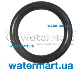 Ущільнювальне кільце 6 x 2 mm Viton насоса Badu Magic 292.0141.261