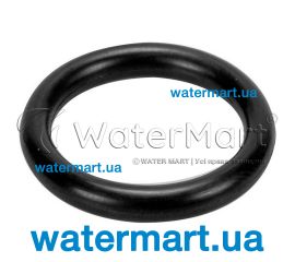 Уплотнительное кольцо насоса Pentair Swimmey / Pantera (R111P0960)