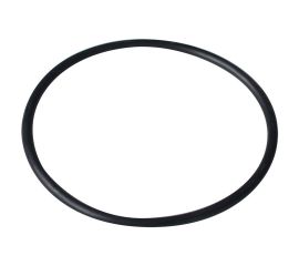 Уплотнительное кольцо для насосов Emaux SS/SD (02011104)