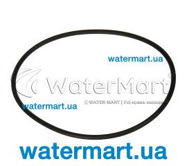 Уплотнительное кольцо 6-позиционного клапана Pentair 1½" RGB10E07