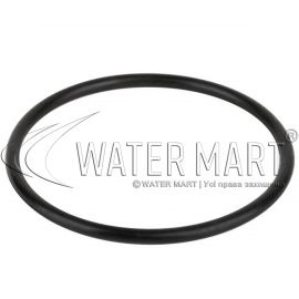 ​Уплотнительное кольцо Emaux MPV04 (02011009)