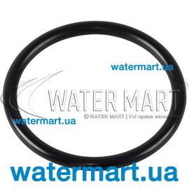 ​Уплотнительное кольцо насоса IML America (HD021115)