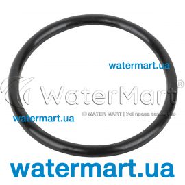 ​Уплотнительное кольцо Emaux MPV02 / MPV08 02011005