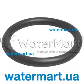 Уплотнительное кольцо муфты фильтра Pentair Triton TR (R154492)