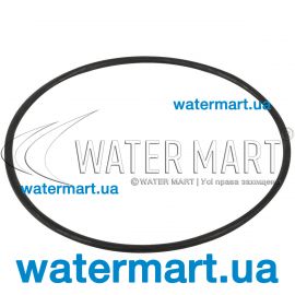 ​Уплотнительное кольцо корпуса насоса Saci Winner 92400018