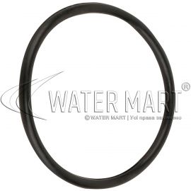 ​Уплотнительное кольцо прожектора Aquant 08020101-0008