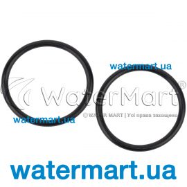 ​Уплотнительное кольцо Hayward (NCX12046)​