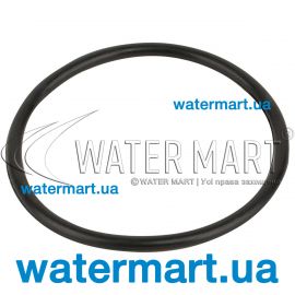 ​Уплотнительное кольцо диффузора Emaux MPV01/MPV07 (02011001)