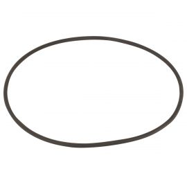 Уплотнительное кольцо крышки префильтра Emaux AMU/SP (02020049)