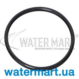 Ущільнювальне кільце насоса IML New MP / America (HD021000)
