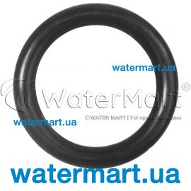 Ущільнювальне кільце 6 x 2 mm Viton насоса Badu Magic 292.0141.261