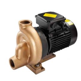 Насос для бассейна Pahlen P01FLO (11418)