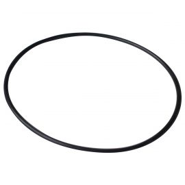 Уплотнительное кольцо диффузора Emaux AFS (02010251)