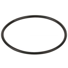 Уплотнительное кольцо диффузора Emaux SS (02011004)