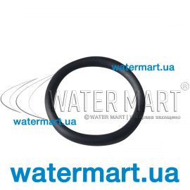 ​Уплотнительное кольцо Emaux MPV16 (02011095)