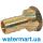 Переходник под шланг (внутренняя резьба) Pattaroni F14 Ø ¾" x 20 F14R012