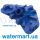 Вакуумная щетка Watertech Pool Blaster Max P30X006