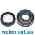 Сальник насоса Aquaviva LP/JA/WTC/STP/SWIM (F01160132 №16/17) Сальник насоса Aquaviva LP/JA/WTC/STP/SWIM (F01160132 №16/17)