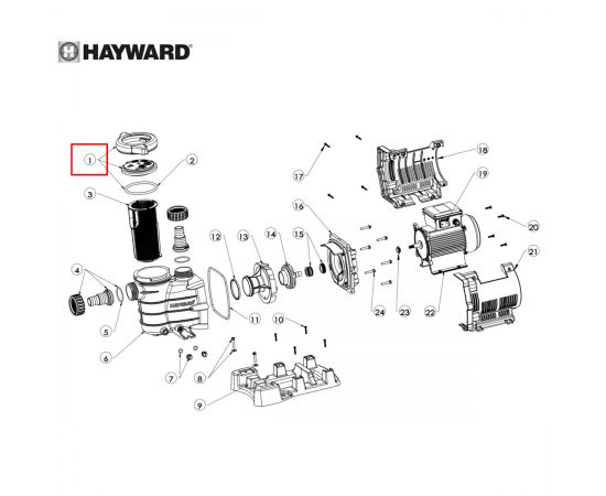 ​Крышка префильтра Hayward Power-Flo II/PowerLine (SPX8100LDS) - схема