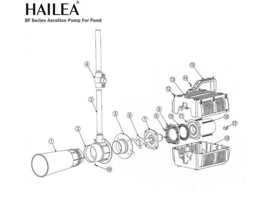 Насос Hailea BF-250 - схема
