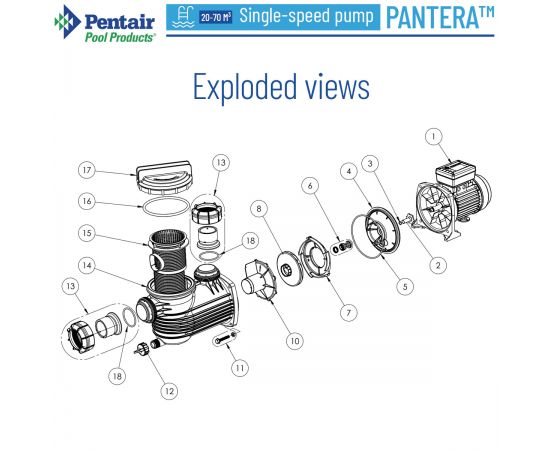 Насос для басейну Pentair Pantera PNTR-031 - схема