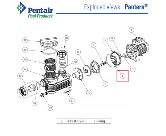 Ущільнювальне кільце​ насоса Pentair Pantera R111P0970 - схема