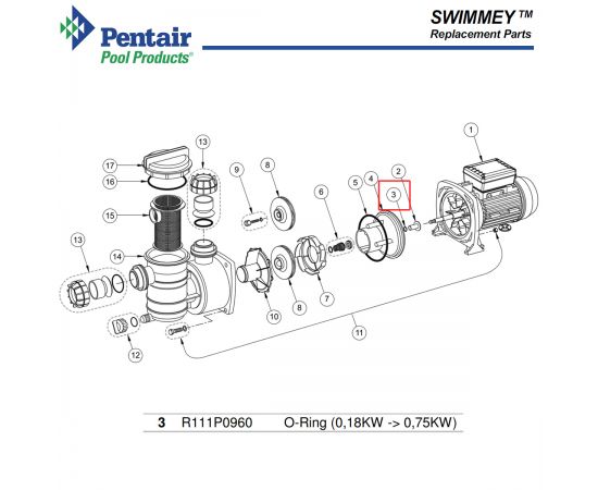 Ущільнювальне кільце насоса​ Pentair Swimmey R111P0960 - схема