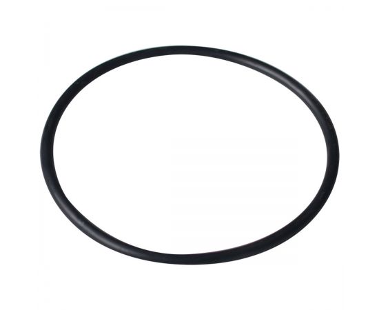Уплотнительное кольцо крышки префильтра Emaux SS (02011074 / 02010247)
